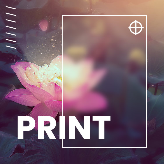 Print Services in Ascot